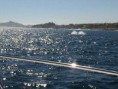 /album/vacaciones-2011/a9alp-jpg/